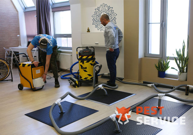 Профессиональная сушка после потопа в Приютово от 3000 руб. Быстро устраняем влагу, предотвращаем плесень и повреждения. Современное оборудование и опытные специалисты. Безопасно и эффективно.